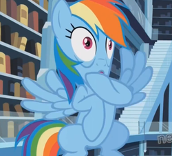 Size: 515x466 | Tagged: safe, screencap, rainbow dash, pegasus, pony, g4, season 3, the crystal empire, all new, cropped, crystal empire, female, mare, reaction image, text, wat