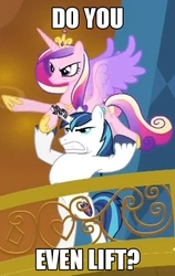 Size: 498x790 | Tagged: safe, edit, edited screencap, screencap, princess cadance, shining armor, alicorn, pony, unicorn, g4, season 3, the crystal empire, bipedal, cropped, do you even lift, epic wife tossing, female, horn, horn crystals, image macro, male, mare, stallion