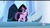 Size: 1920x1080 | Tagged: safe, screencap, twilight sparkle, g4, my little pony: friendship is magic, the crystal empire, youtube caption