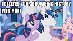 Size: 680x383 | Tagged: safe, princess cadance, shining armor, twilight sparkle, alicorn, pony, unicorn, g4, female, horn, horn crystals, image macro, magic suppression, male, mare, stallion, text