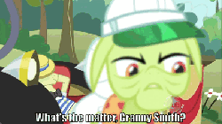 Size: 427x240 | Tagged: safe, screencap, flim, granny smith, g4, the super speedy cider squeezy 6000, animated, covered eyes, duo, hub logo, subtitles, sun visor, super speedy cider squeezy 6000
