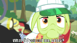 Size: 427x240 | Tagged: safe, screencap, flim, granny smith, g4, the super speedy cider squeezy 6000, animated, covered eyes, duo, hub logo, looking back, solo focus, subtitles, sun visor, super speedy cider squeezy 6000
