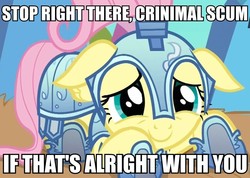 Size: 867x618 | Tagged: safe, fluttershy, pony, g4, armor, c:, criminal scum, crystal guard armor, cute, female, floppy ears, guard, if that's okay with you, image macro, looking at you, shyabetes, smiling, solo, stop right there criminal scum