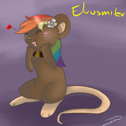 Size: 500x500 | Tagged: safe, artist:alu12, rainbow dash, mouse, g4, flower, solo, species swap