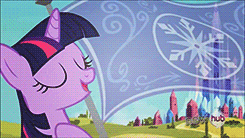 Size: 245x138 | Tagged: safe, screencap, twilight sparkle, pony, g4, the crystal empire, animated, crystal empire, crystal empire flag, female, flag, mare, solo