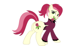 Size: 1500x900 | Tagged: safe, artist:neroshade, roseluck, earth pony, pony, g4, butt, clothes, female, looking at you, mare, mouth hold, plot, rosebutt, shirt, simple background, solo, transparent background