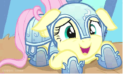 Size: 480x288 | Tagged: safe, screencap, fluttershy, g4, the crystal empire, animated, armor, cropped, crystal guard armor, cute, female, floppy ears, jousting outfit