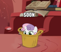 Size: 712x610 | Tagged: safe, sweetie belle, pony, unicorn, g4, basket, book, female, filly, golden oaks library, looking at you, peeking, pony in a basket, silly, silly pony, solo, soon