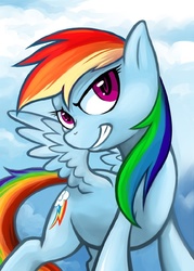 Size: 439x612 | Tagged: safe, artist:halley-valentine, rainbow dash, pegasus, pony, g4, female, mare, solo