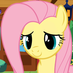 Size: 720x720 | Tagged: safe, screencap, fluttershy, pony, g4, stare master, cropped, female, solo