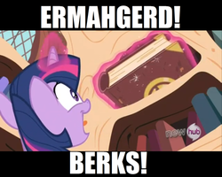 Size: 500x399 | Tagged: safe, edit, edited screencap, screencap, twilight sparkle, pony, g4, the crystal empire, berk, book, ermahgerd, female, giant fucking book of magic and shit, golden oaks library, hub logo, image macro, letterboxing, solo, that pony sure does love books