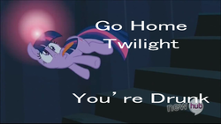 Size: 500x282 | Tagged: safe, twilight sparkle, pony, unicorn, g4, derp, drunk, drunk twilight, image macro, lying down, on side, unicorn twilight