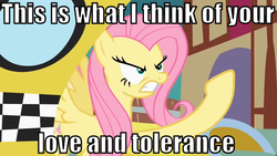 Size: 640x360 | Tagged: safe, fluttershy, g4, angry, image macro, taxi