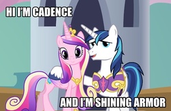 Size: 500x326 | Tagged: safe, princess cadance, shining armor, alicorn, pony, unicorn, g4, female, image macro, male, mare, stallion, text