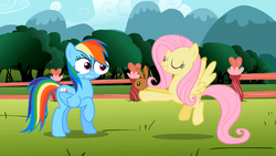 Size: 768x432 | Tagged: safe, edit, edited screencap, screencap, fluttershy, rainbow dash, g4, may the best pet win, special eyes