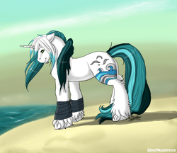 Size: 605x522 | Tagged: safe, artist:silvermoonbreeze, oc, oc only, oc:zeestorm, pony, unicorn, 2010, arm wraps, beach, chin fluff, leg fluff, male, ocean, stallion, standing, unshorn fetlocks, water