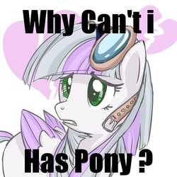 Size: 600x600 | Tagged: source needed, useless source url, safe, artist:starlightspark, oc, oc only, oc:starlight spark, pegasus, pony, broken hearts, colored wings, colored wingtips, frown, goggles, gritted teeth, i can has, image macro, sad, solo