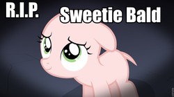 Size: 960x538 | Tagged: safe, sweetie belle, ask the crusaders, g4, earth pony sweetie belle, image macro, rest in peace, sweetie bald