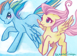 Size: 800x587 | Tagged: safe, artist:irinya, fluttershy, rainbow dash, g4