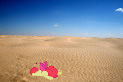 Size: 1600x1068 | Tagged: safe, artist:erockertorres, apple bloom, earth pony, pony, g4, desert, irl, photo, ponies in real life, vector