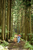 Size: 1198x1800 | Tagged: safe, applejack, rainbow dash, pony, g4, irl, photo, ponies in real life, run, tree, vector