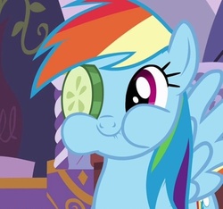 Size: 500x467 | Tagged: safe, screencap, rainbow dash, pegasus, pony, g4, ponyville confidential, aweeg*, cucumber, cucumber monocle, cucumber pirate, cute, dashabetes, eating, female, herbivore, mare, puffy cheeks, reaction image, smiling