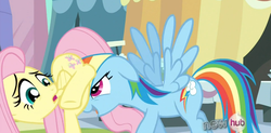 Size: 1358x667 | Tagged: safe, screencap, fluttershy, rainbow dash, pegasus, pony, g4, my little pony: friendship is magic, the crystal empire, female, fetish fuel, hub logo, mare, out of context, pushing, rump push