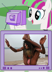 Size: 563x771 | Tagged: safe, blossomforth, pegasus, pony, g4, exploitable meme, meme, photo, tv meme, yoga