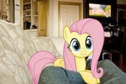 Size: 1000x667 | Tagged: safe, artist:ilovemyipod098, fluttershy, human, pony, g4, c:, couch, cute, irl, leaning, looking at you, photo, ponies in real life, prone, smiling, television, vector