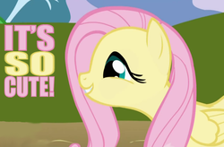 Size: 682x447 | Tagged: safe, artist:ilovemyipod098, edit, fluttershy, g4, cute, image macro