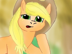 Size: 800x600 | Tagged: safe, artist:louis badalament, applejack, earth pony, pony, pony pov series, g4, alex warlorn, fanfic, fanfic art, reharmonized ponies, solo