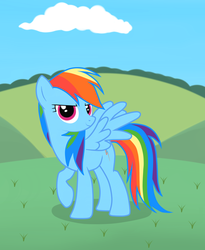 Size: 1280x1562 | Tagged: safe, artist:dbih9i, rainbow dash, pegasus, pony, g4, female, mare, solo