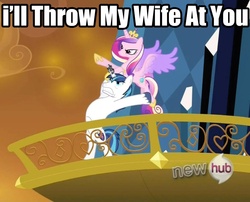 Size: 1042x844 | Tagged: safe, edit, edited screencap, screencap, princess cadance, shining armor, g4, season 3, the crystal empire, all new, bipedal, epic wife tossing, fastball special, hub logo, image macro, reaction image, text