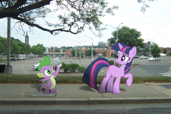 Size: 2032x1354 | Tagged: safe, artist:pizzalover53, spike, twilight sparkle, pony, g4, irl, photo, ponies in real life, vector