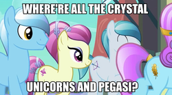 Size: 877x486 | Tagged: safe, edit, edited screencap, screencap, crystal arrow, crystal beau, fleur de verre, night knight, sapphire joy, crystal pony, pony, g4, my little pony: friendship is magic, the crystal empire, discussion, image macro, male, meta, stallion