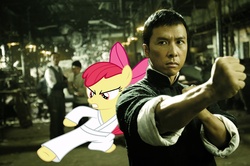 Size: 1800x1196 | Tagged: safe, artist:erockertorres, artist:ricrobincagnaan, apple bloom, human, pony, g4, china, crossover, donnie yen, ip man, irl, kung fu, movie, photo, ponies in real life, vector