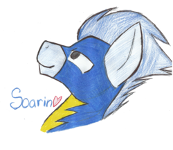 Size: 1024x883 | Tagged: safe, artist:kristenlovesderpy, soarin', pony, g4, male, solo, traditional art