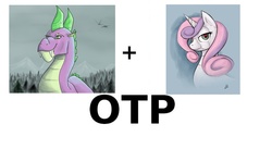 Size: 1024x563 | Tagged: safe, spike, sweetie belle, dragon, robot, g4, adult, adult spike, exploitable meme, female, male, meta, older, otp, ship:spikebelle, shipping, straight, sweetie bot