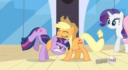 Size: 847x467 | Tagged: safe, screencap, applejack, fluttershy, rarity, twilight sparkle, g4, mane, out of context