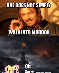 Size: 500x621 | Tagged: safe, fluttershy, human, pegasus, pony, g4, barad-dûr, boromir, comparison, crossover, eye of sauron, female, lord of the rings, male, man, mare, meme, mordor, mount doom, one does not simply walk into mordor, volcano