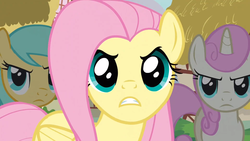 Size: 1280x720 | Tagged: safe, screencap, fluttershy, sunshower raindrops, twinkleshine, g4, too many pinkie pies, angry
