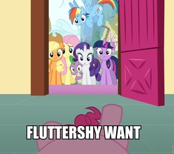 Size: 960x849 | Tagged: safe, edit, edited screencap, screencap, applejack, fluttershy, pinkie pie, rainbow dash, rarity, spike, twilight sparkle, dragon, g4, too many pinkie pies, cropped, image macro, male, mane seven, mane six