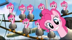 Size: 497x279 | Tagged: safe, pinkie pie, seagull, g4, crossover, finding nemo, fun, fun fun fun, mine!, multeity, too much pink energy is dangerous