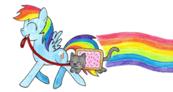 Size: 1024x548 | Tagged: safe, artist:sandy--apples, rainbow dash, g4, crossover, duo, eyes closed, mouth hold, nyan cat, nyan dash, traditional art