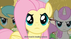 Size: 853x466 | Tagged: safe, screencap, fluttershy, sunshower raindrops, twinkleshine, g4, too many pinkie pies, cuba, youtube caption