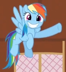 Size: 252x274 | Tagged: safe, screencap, rainbow dash, pony, g4, too many pinkie pies