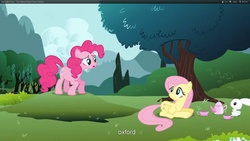 Size: 1920x1080 | Tagged: safe, screencap, angel bunny, fluttershy, pinkie pie, g4, too many pinkie pies, youtube caption