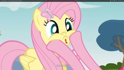 Size: 1920x1080 | Tagged: safe, screencap, fluttershy, pinkie pie, g4, too many pinkie pies, squishy, squishy cheeks, youtube caption