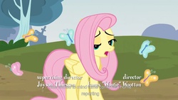 Size: 1920x1080 | Tagged: safe, screencap, fluttershy, g4, too many pinkie pies, youtube caption