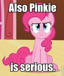 Size: 323x382 | Tagged: safe, edit, edited screencap, editor:eden89, screencap, pinkie pie, earth pony, pony, g4, too many pinkie pies, caption, cropped, female, image macro, mare, serious, sitting, solo, text